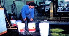 the paint